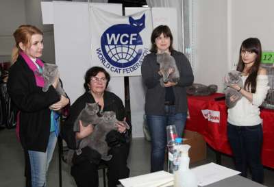 �������� ����� '������� ���-�����' 30 ������-1 ������� 2013., ������������ ��� 3149